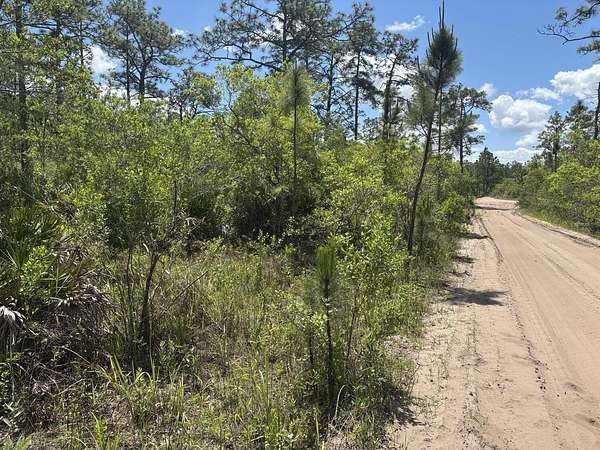 0.34 Acres of Land for Sale in St. Cloud, Florida