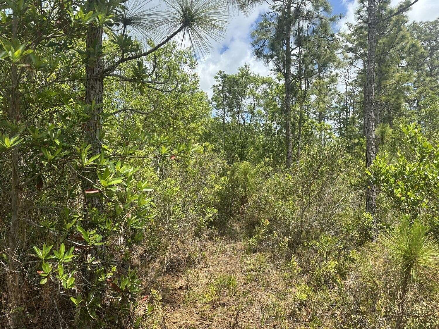 1.29 Acres of Land for Sale in St. Cloud, Florida