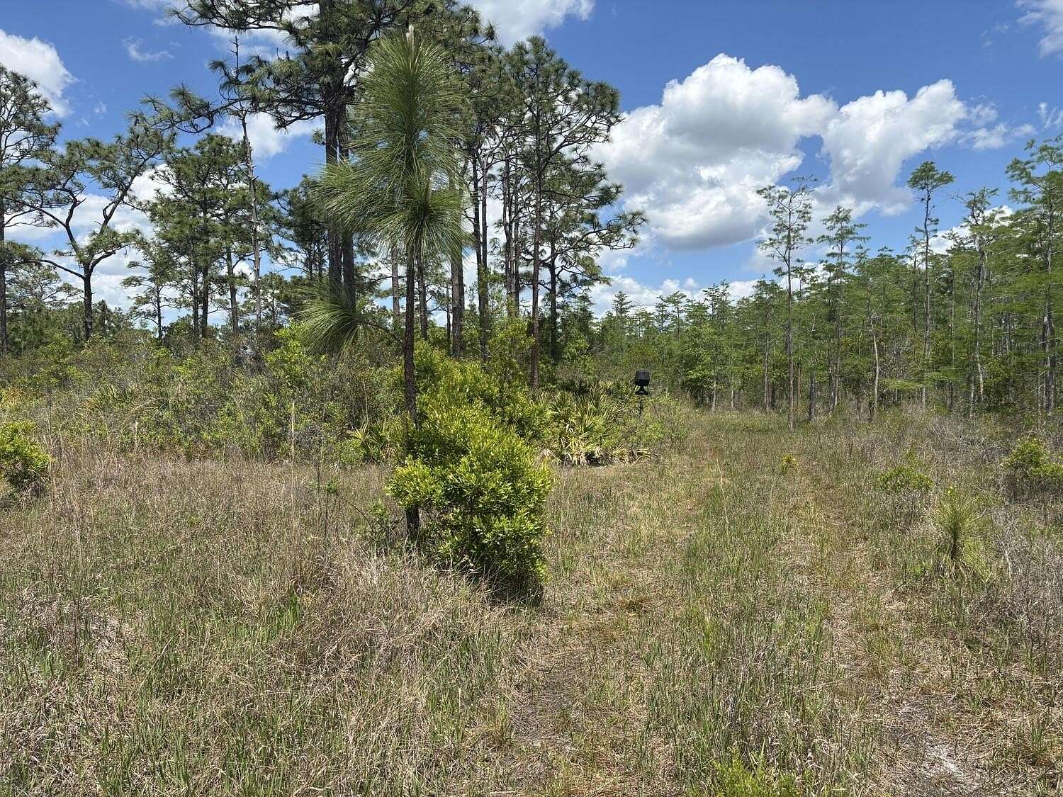 1.24 Acres of Land for Sale in St. Cloud, Florida