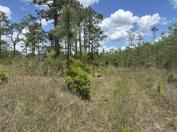 1.24 Acres of Land for Sale in St. Cloud, Florida