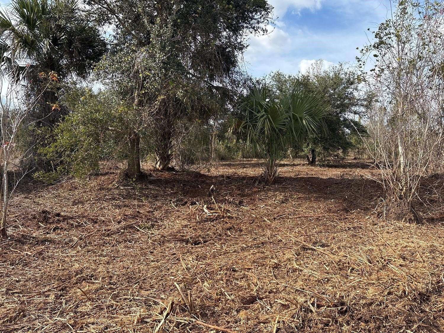 1.25 Acres of Land for Sale in Okeechobee, Florida