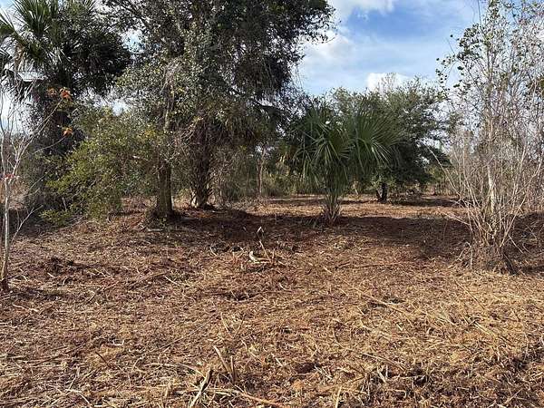 1.25 Acres of Land for Sale in Okeechobee, Florida