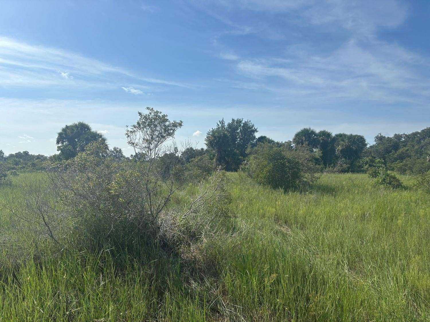 2.5 Acres of Land for Sale in Okeechobee, Florida