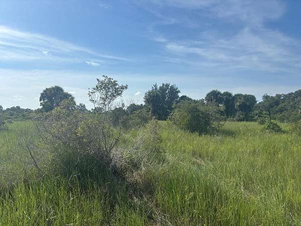 2.5 Acres of Land for Sale in Okeechobee, Florida