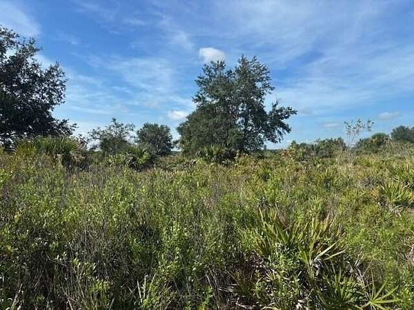 5 Acres of Land for Sale in Okeechobee, Florida