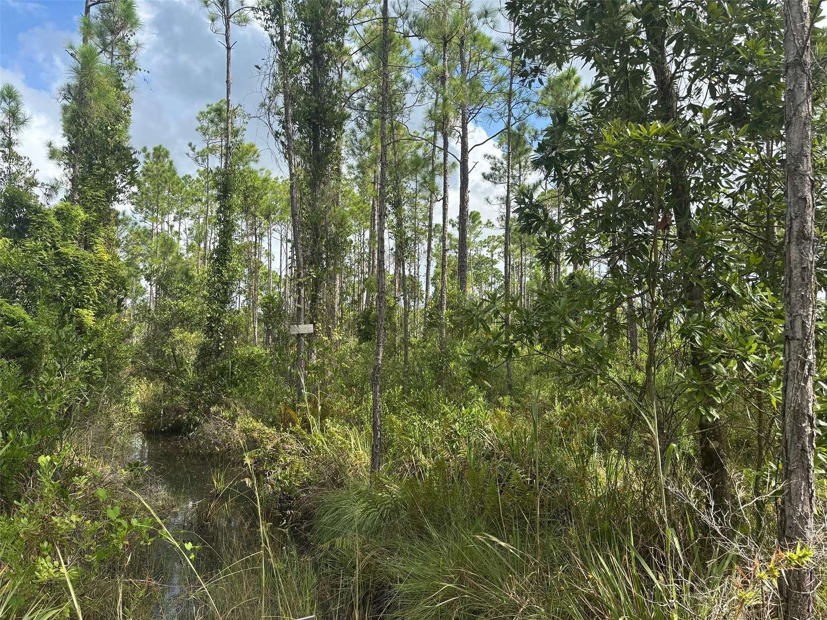 1.26 Acres of Land for Sale in Lake Wales, Florida