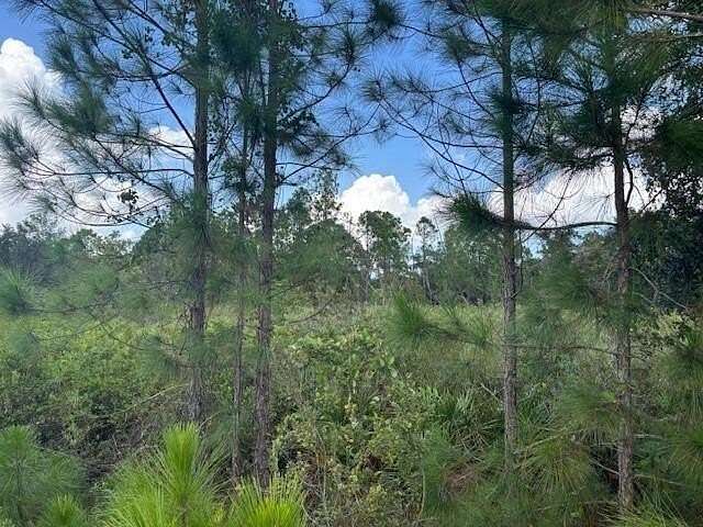 1.27 Acres of Land for Sale in Kathleen, Florida