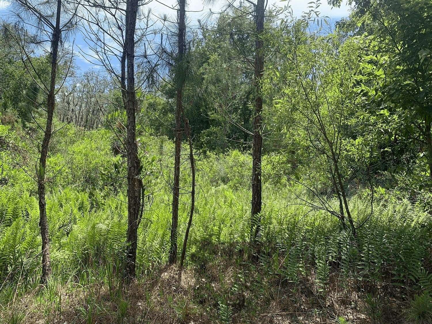 1.27 Acres of Land for Sale in Kathleen, Florida