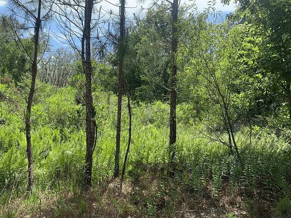 1.27 Acres of Land for Sale in Kathleen, Florida