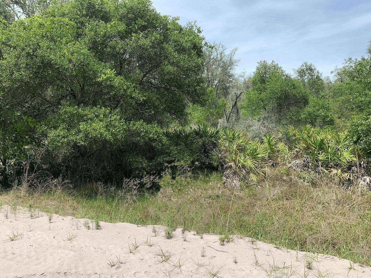 1.27 Acres of Land for Sale in Kathleen, Florida