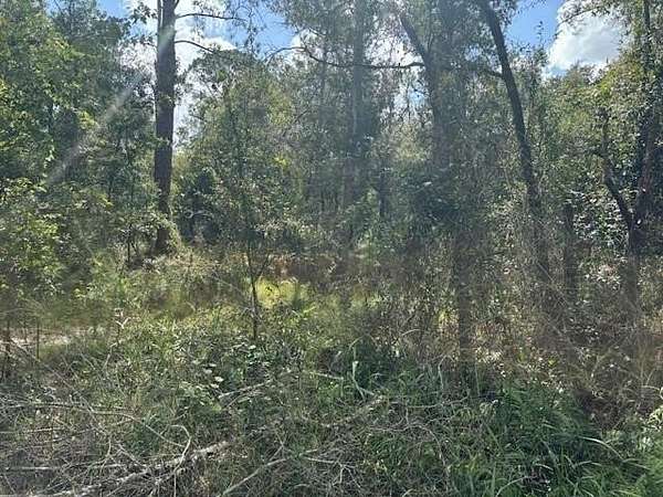 1.26 Acres of Land for Sale in Kathleen, Florida