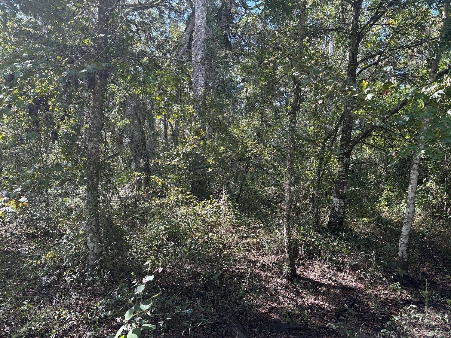 1.27 Acres of Land for Sale in Kathleen, Florida