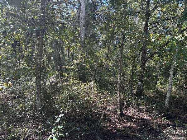 1.27 Acres of Land for Sale in Kathleen, Florida
