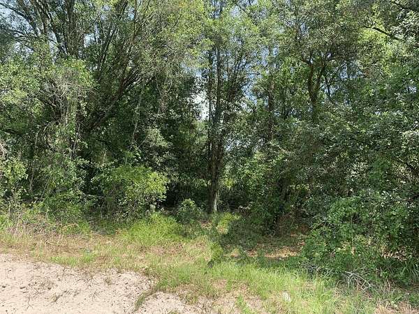 1.28 Acres of Land for Sale in Kathleen, Florida