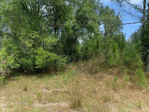 1.26 Acres of Land for Sale in Kathleen, Florida
