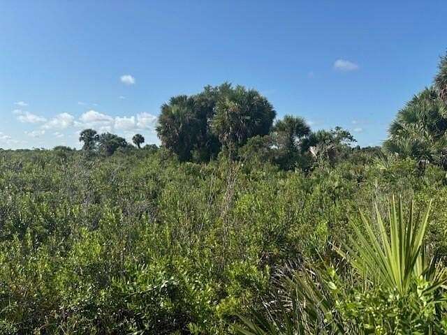 2.5 Acres of Land for Sale in Okeechobee, Florida