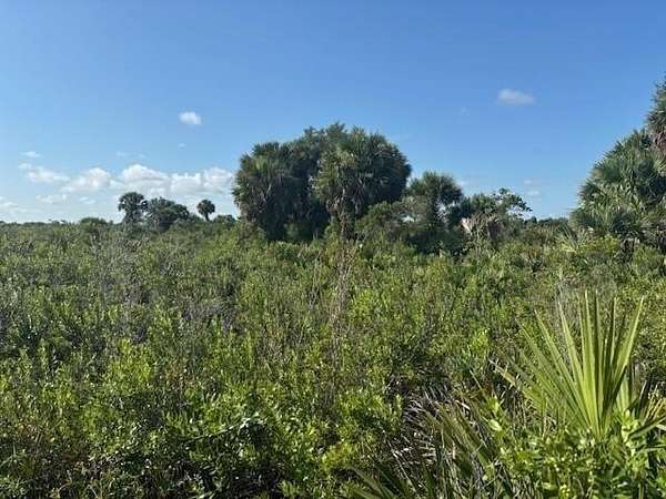 2.5 Acres of Land for Sale in Okeechobee, Florida