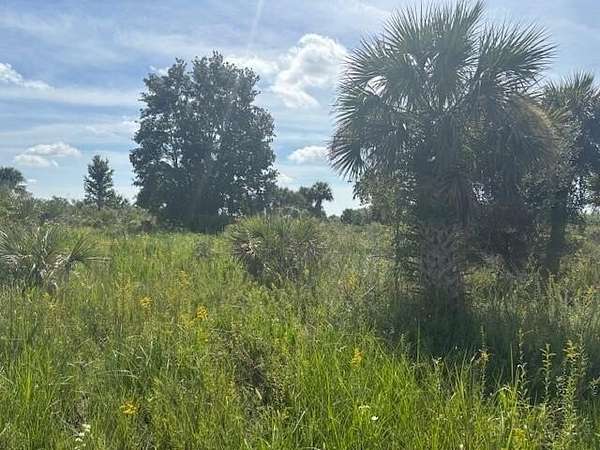 2.5 Acres of Land for Sale in Okeechobee, Florida