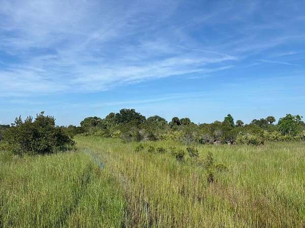 5 Acres of Land for Sale in Okeechobee, Florida