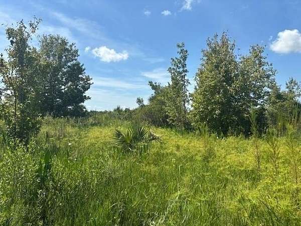 1.25 Acres of Land for Sale in Okeechobee, Florida