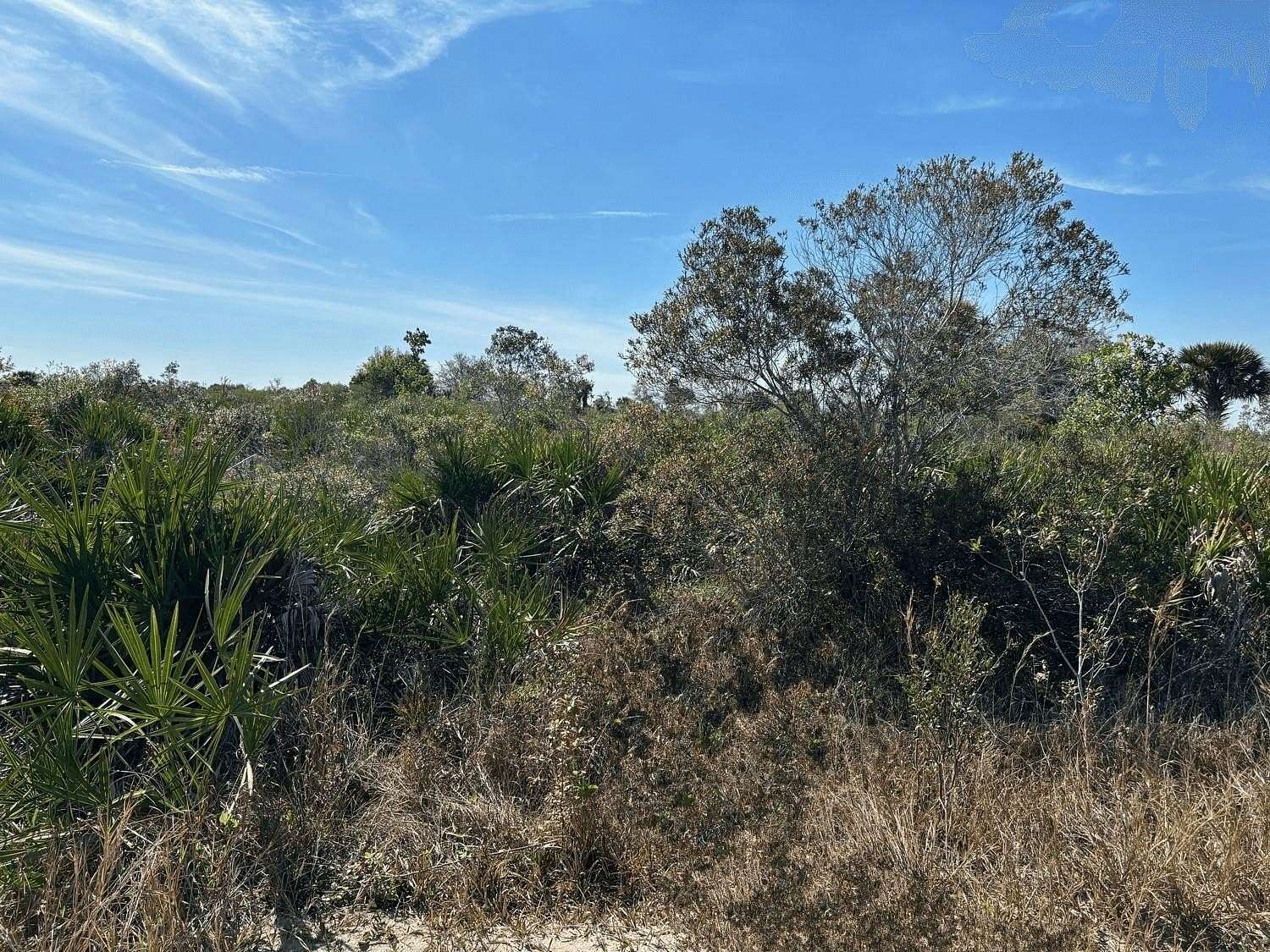 2.5 Acres of Land for Sale in Okeechobee, Florida