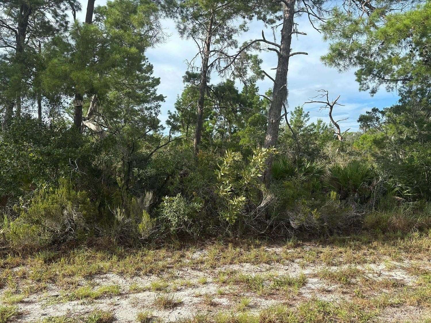 0.22 Acres of Residential Land for Sale in Lake Placid, Florida