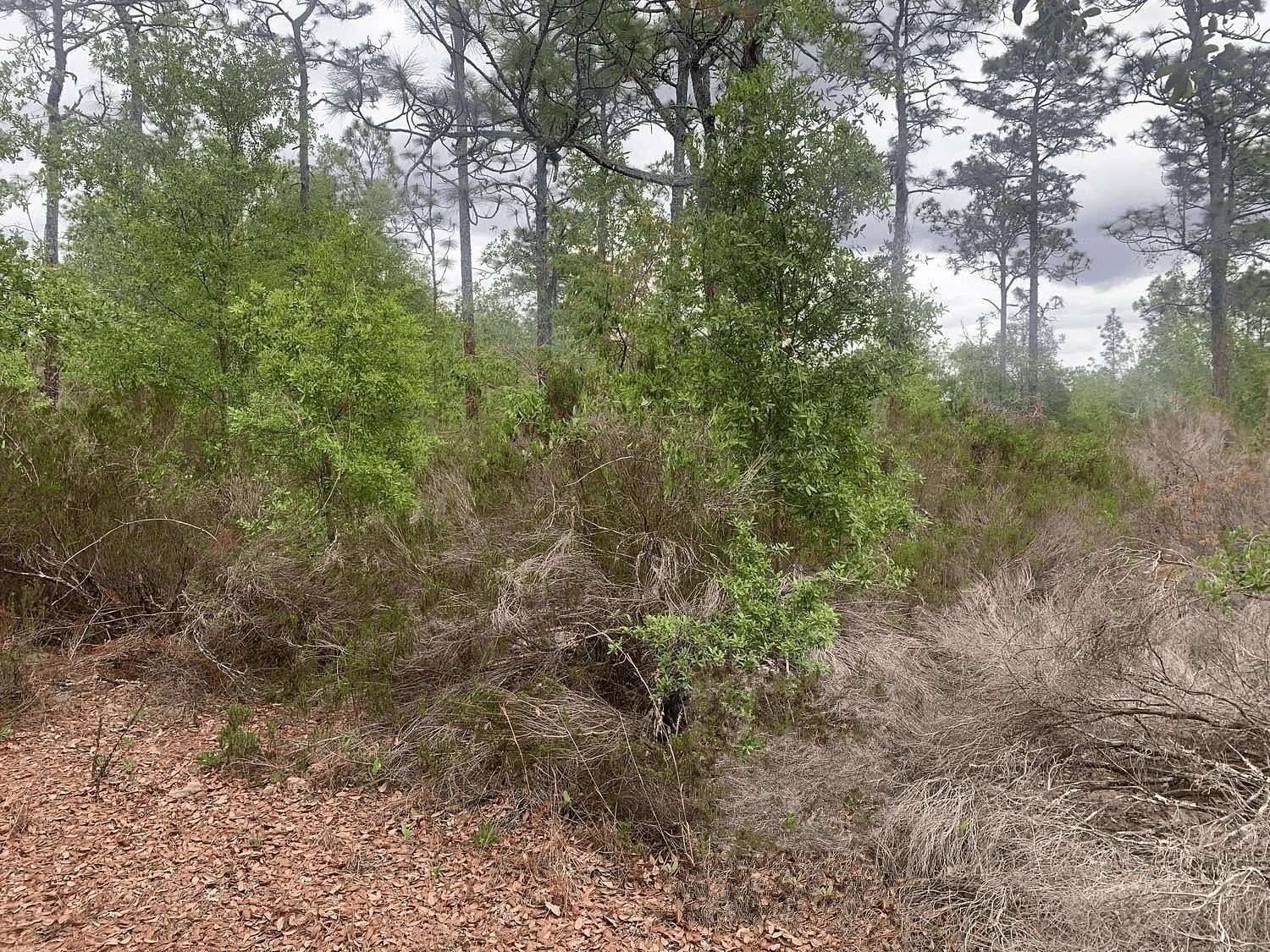 0.23 Acres of Residential Land for Sale in Interlachen, Florida