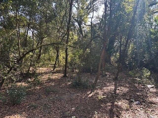 1.25 Acres of Land for Sale in Kathleen, Florida