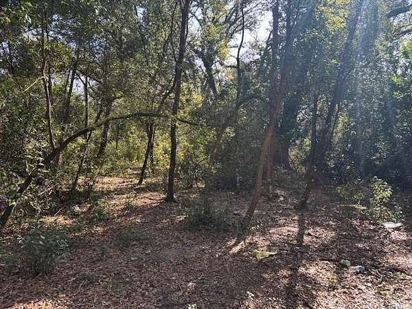 1.25 Acres of Land for Sale in Kathleen, Florida