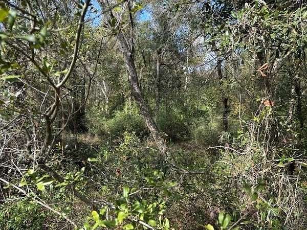 1.27 Acres of Land for Sale in Kathleen, Florida
