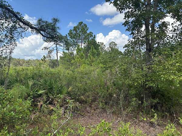 1.26 Acres of Land for Sale in Kathleen, Florida