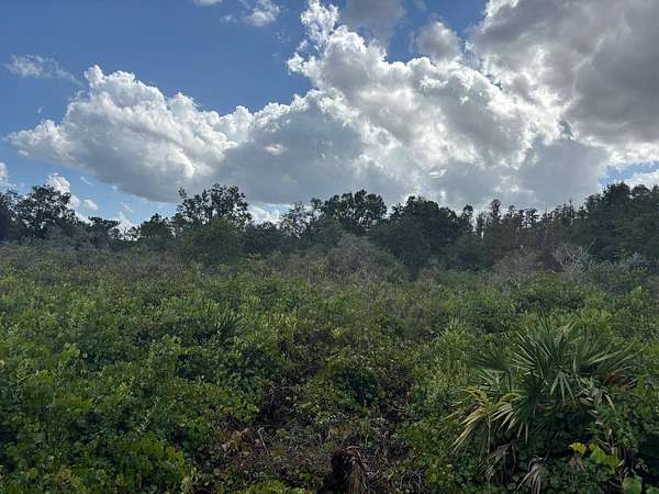 1.27 Acres of Land for Sale in Kathleen, Florida
