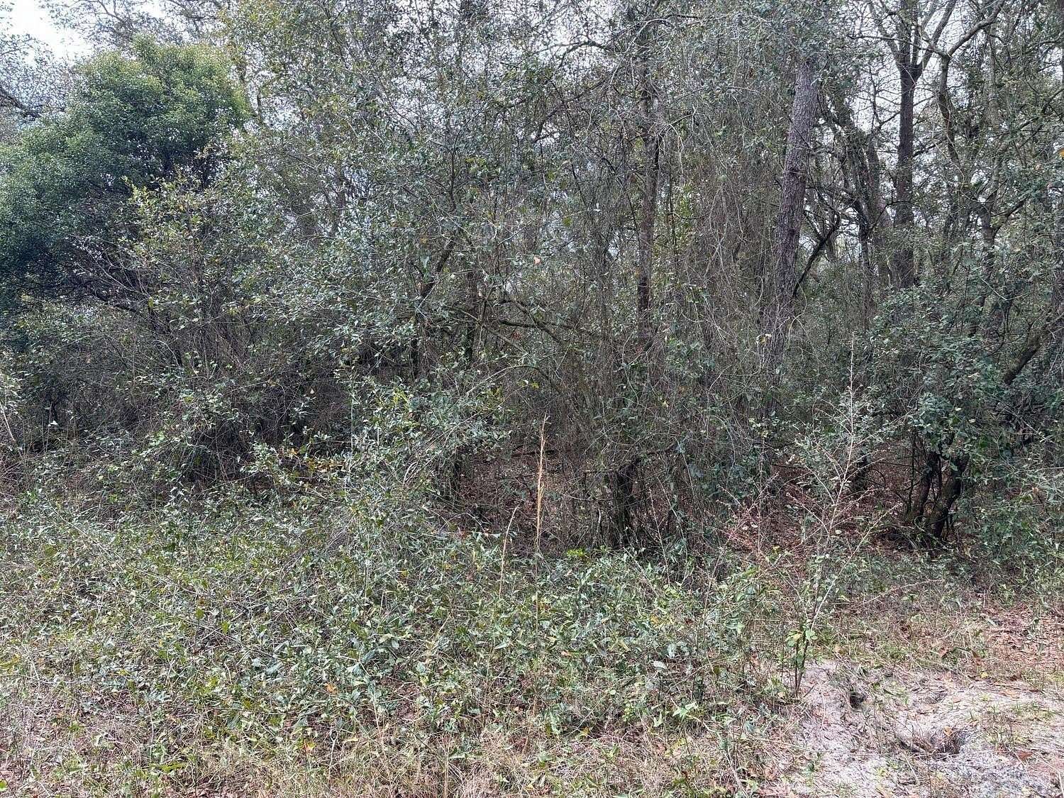 1.26 Acres of Land for Sale in Kathleen, Florida
