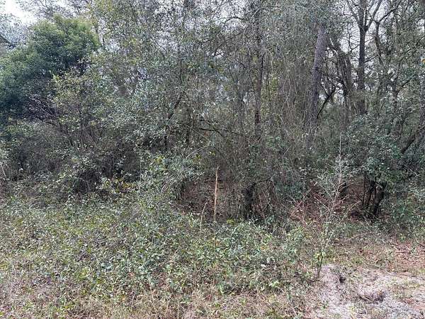 1.26 Acres of Land for Sale in Kathleen, Florida