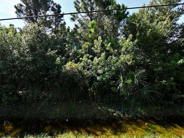 0.45 Acres of Residential Land for Sale in Indian River Estates, Florida