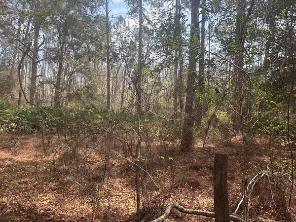 1 Acre of Land for Sale in Polk City, Florida