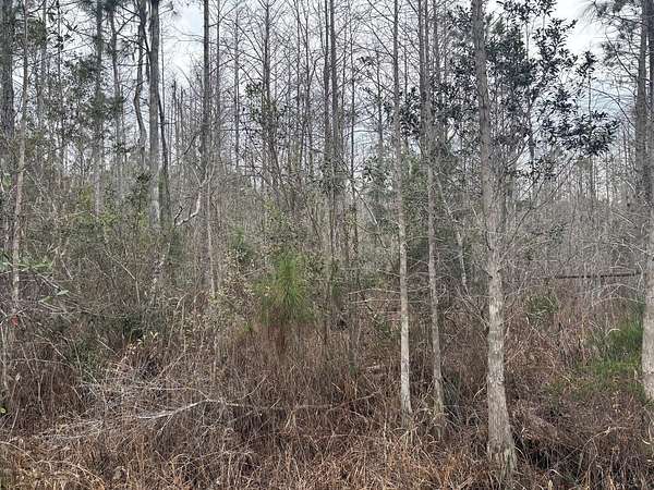 1 Acre of Land for Sale in Polk City, Florida
