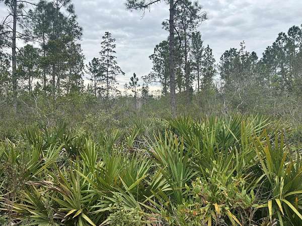 2 Acres of Land for Sale in Polk City, Florida