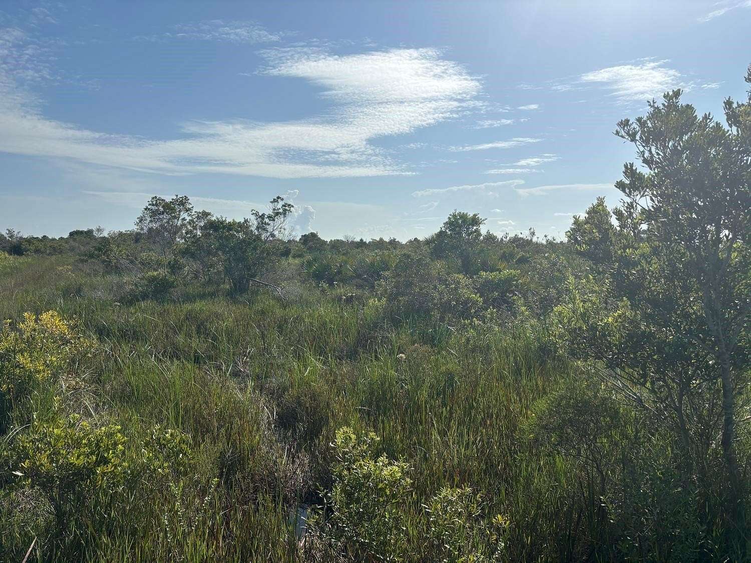 2.5 Acres of Land for Sale in Okeechobee, Florida