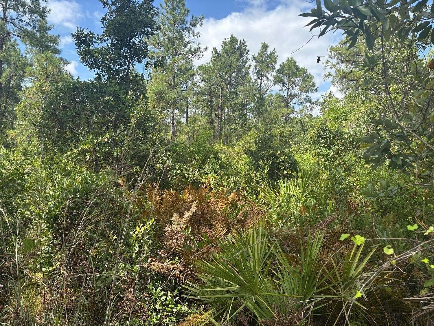 1.26 Acres of Land for Sale in Frostproof, Florida