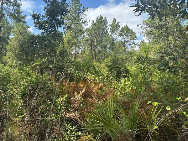 1.26 Acres of Land for Sale in Frostproof, Florida