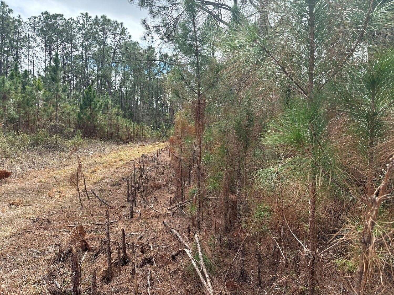 1 Acre of Land for Sale in Polk City, Florida