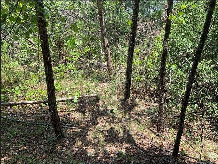 0.23 Acres of Land for Sale in Satsuma, Florida