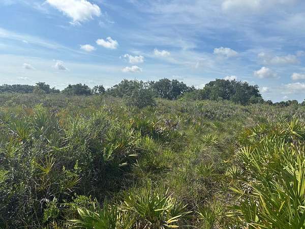 1.25 Acres of Land for Sale in Okeechobee, Florida