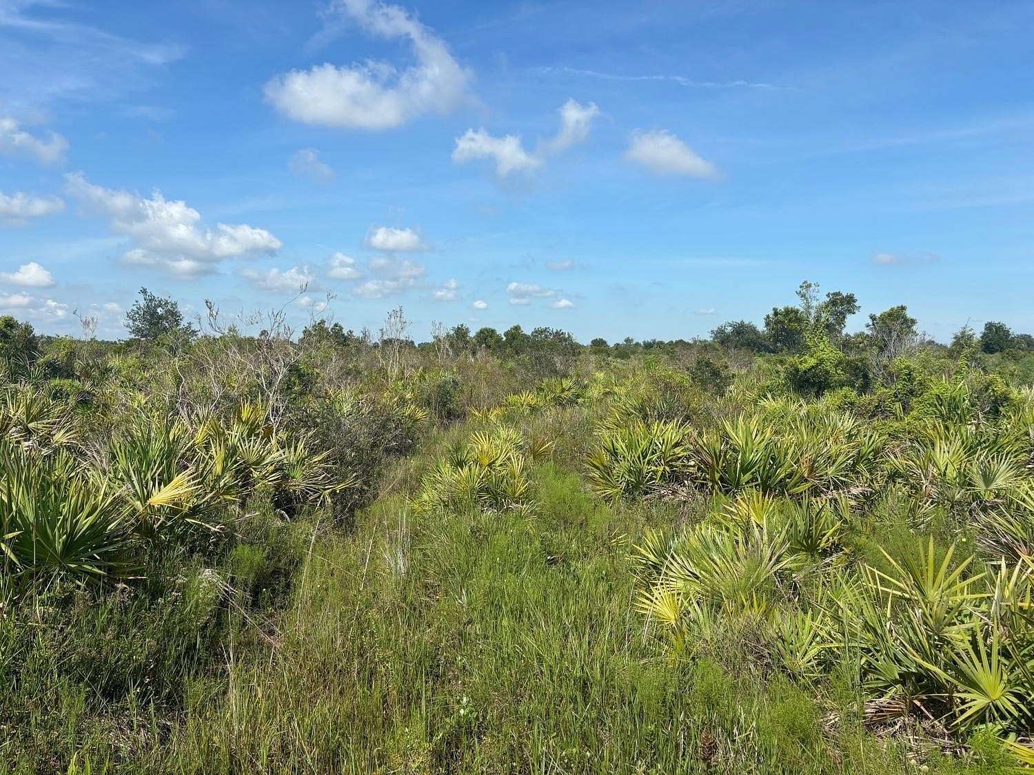 1.25 Acres of Land for Sale in Okeechobee, Florida