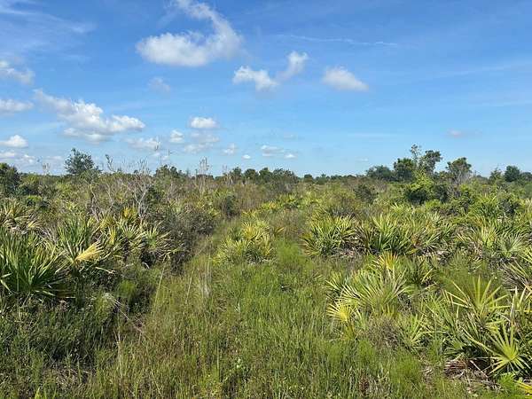 1.25 Acres of Land for Sale in Okeechobee, Florida