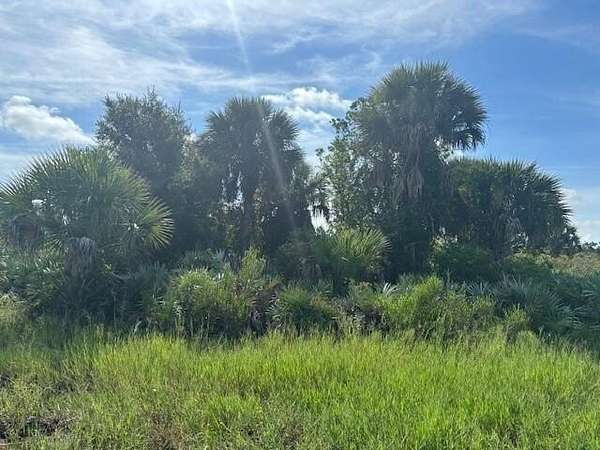 2.5 Acres of Land for Sale in Okeechobee, Florida