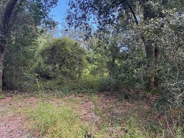 1.29 Acres of Land for Sale in Kathleen, Florida