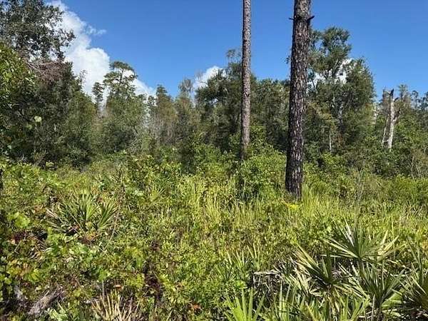 1.29 Acres of Land for Sale in Kathleen, Florida
