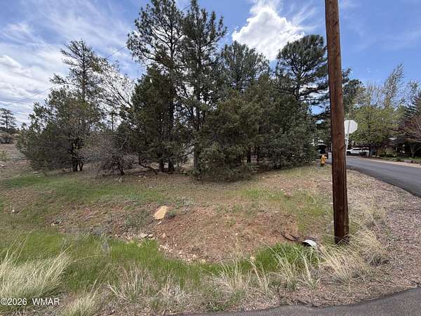 0.22 Acres of Residential Land for Sale in Show Low, Arizona